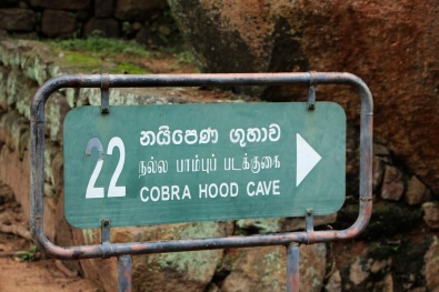 Cobra_cave